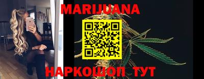 Альфа ПВП Новозыбков