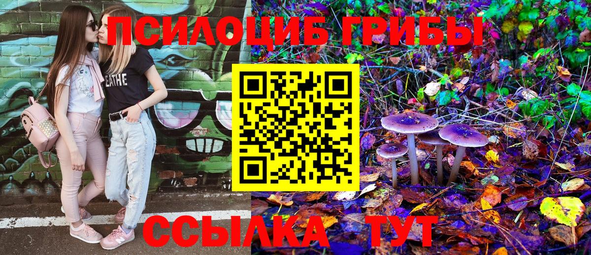Рассказово  Псилоцибиновые грибы GOLDEN TEACHER  Псилоцибиновые грибы MAGIC MUSHROOMS  Вход с VPN 